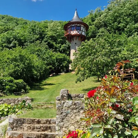 Veza Na Vlasku Haj