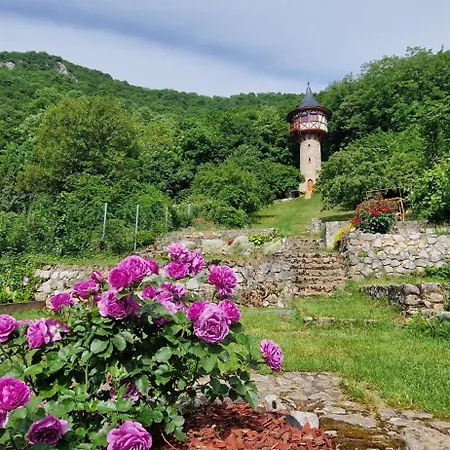 Veza Na Vlasku * Haj