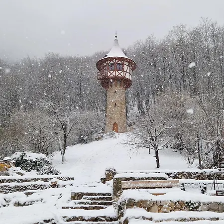 Veza Na Vlasku * Haj